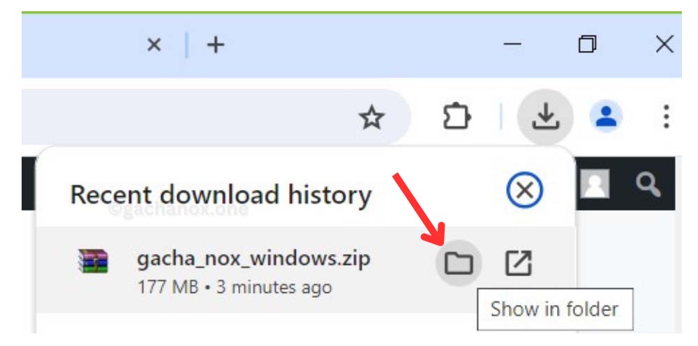 chrome downloads show in folder